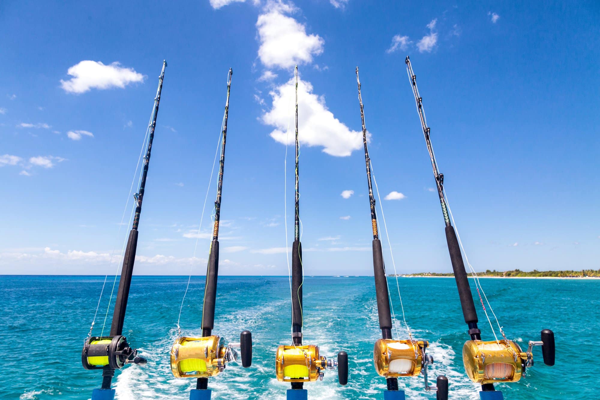 deep sea fishing trip 1
